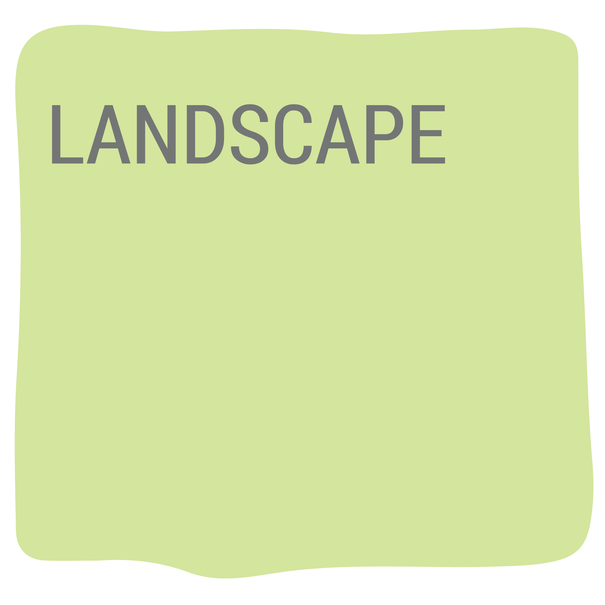 landscape